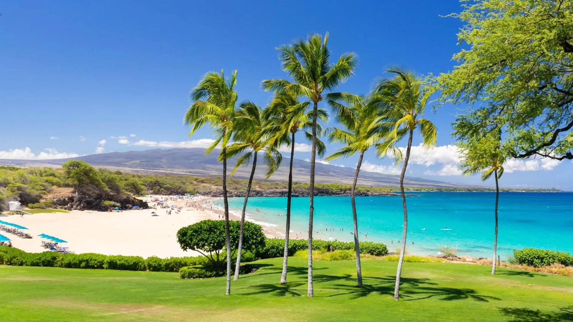Tatil Evi ❤Pih❤ Hale Moana Heated Private Pool Spa Detached Ohana Suite Waimea